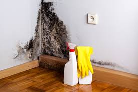 Mold Remediation for Vacation Homes in Indio, CA